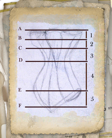 diagram for corset size and measurement guide